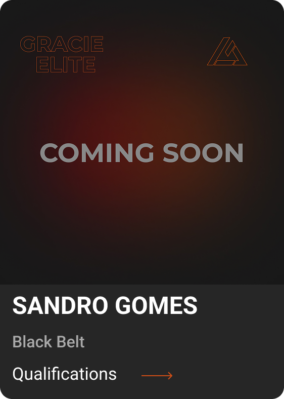 SANDRO 3