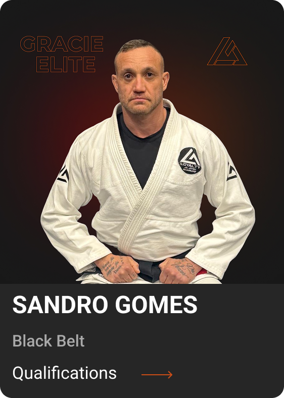 sandro new1